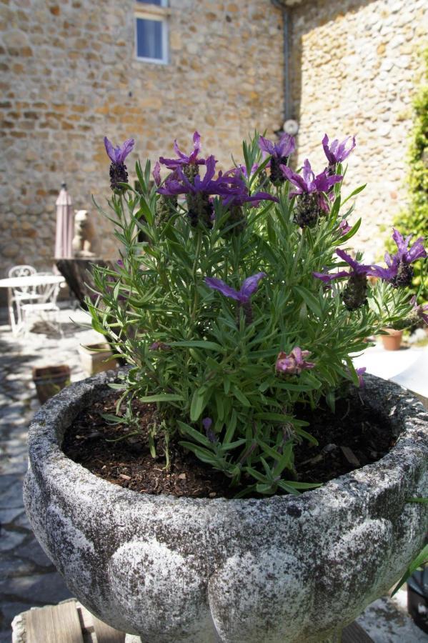 Maison Du Manoir Vallon-Pont-dʼArc Dış mekan fotoğraf
